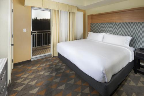 Holiday Inn Hotel & Suites - Asheville-Biltmore Vlg Area