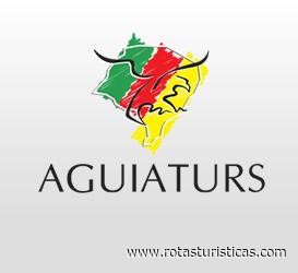 Aguiaturs