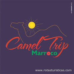 Camel Trip Morocco