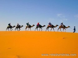 Merzougaonline Camel trek bivouac