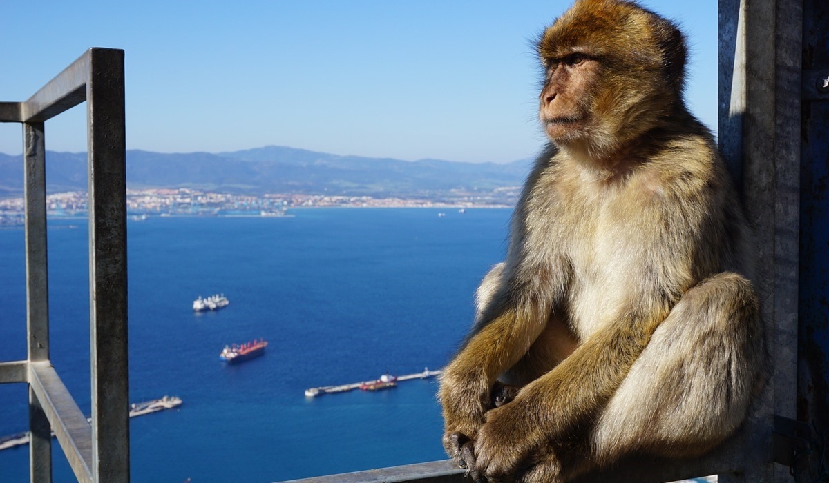 Excursion d'une journée à Gibraltar avec départ de Tavira