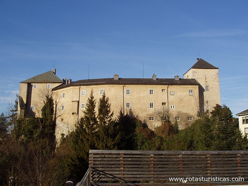 Burg Golling Museum
