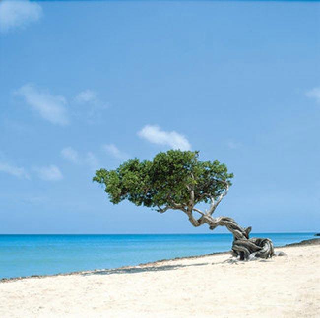 Stranden van Palm Beach (Aruba)