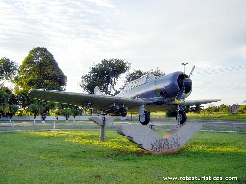 Aviator at the Air Base Monument (Campo Grande)