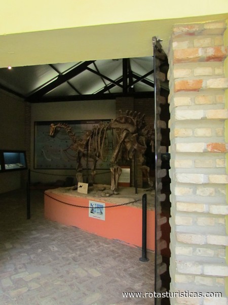 Museo di storia naturale di Ufmg