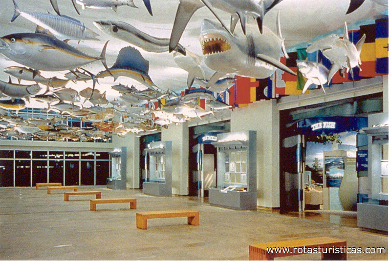 Eregalerij en Aquatic Museum of Canada (Winnipeg)
