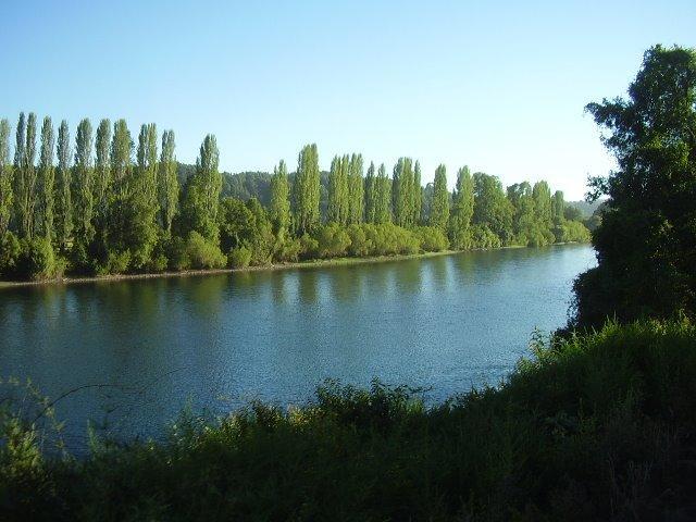 San Pedro River
