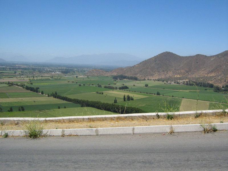Mallarauco valley