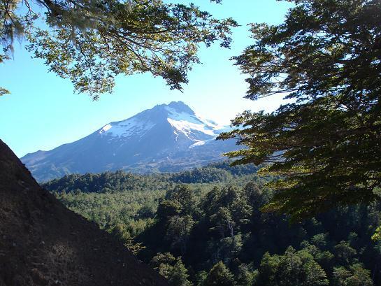 Reserva Nacional Mocho Choshuenco (Valdivia)