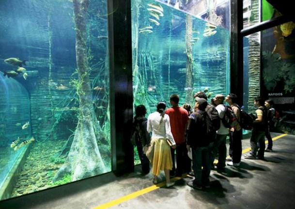 Explorez le parc aquarium