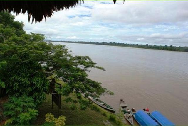 La rivière Amazone