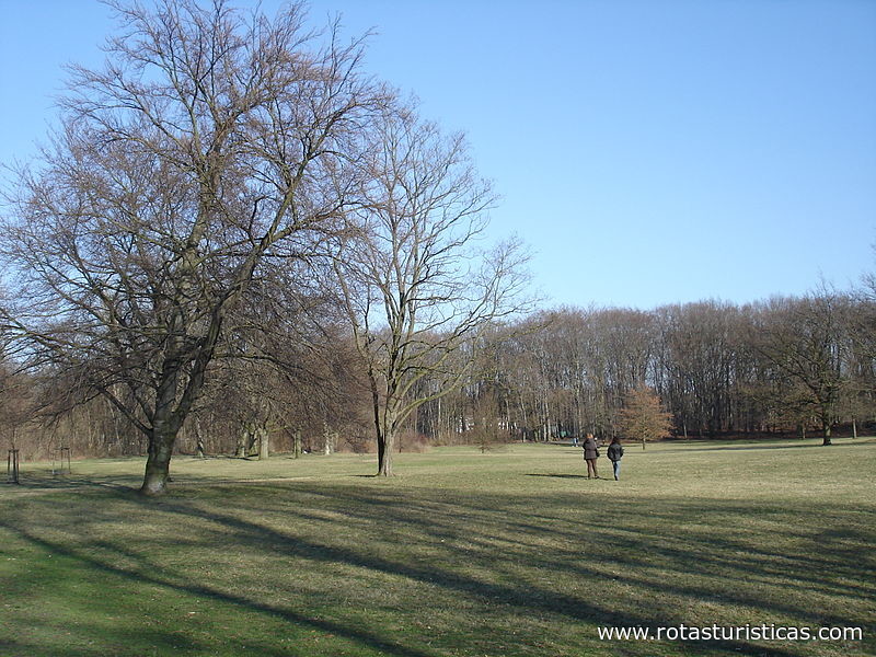 Parc public Rehberge
