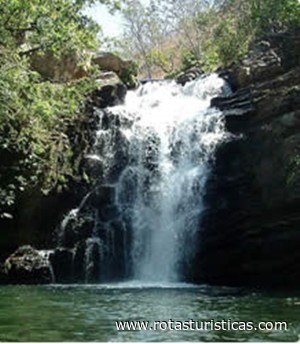 Morfo Wasserfall (Tena)