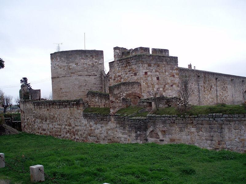 Castle of Zamora