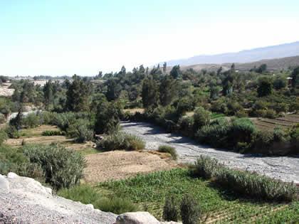 Oude vallei van Tacna