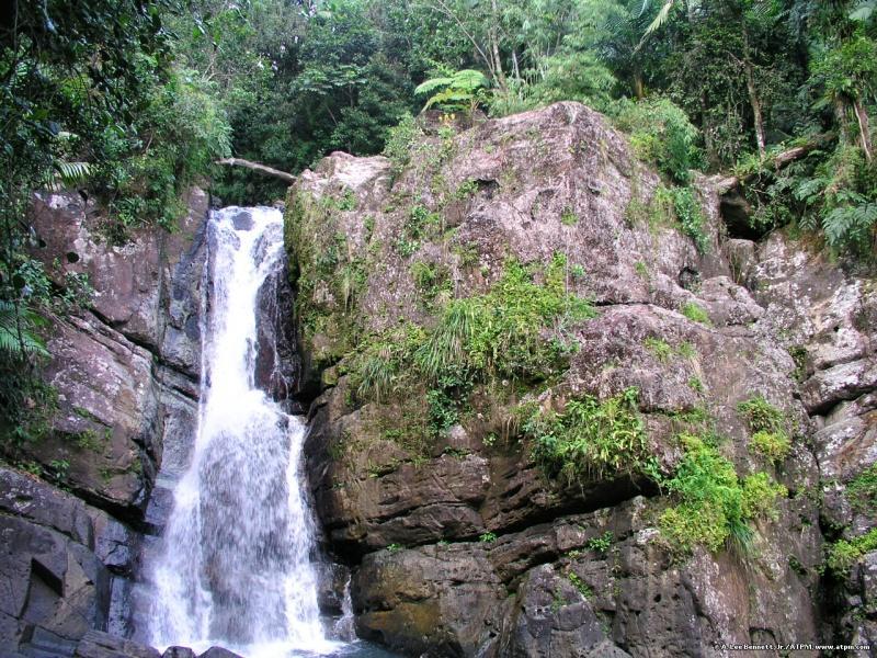 Bosque Nacional el Yunque
