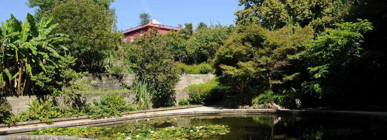 Botanische tuin van Porto