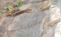 Gravuras rupestres do Mazouco